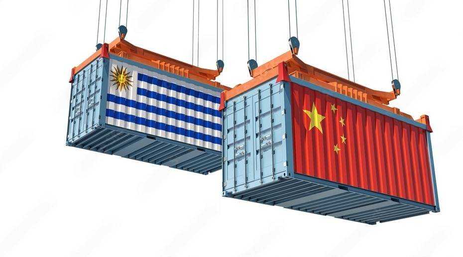 china to Uruguay Shipping